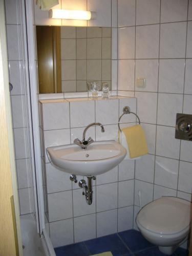 Oehler 2*